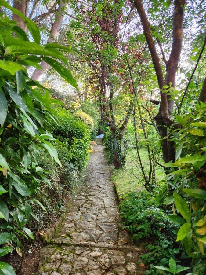 Bed and Breakfast Le Jardin Sarlat Zewnętrze zdjęcie