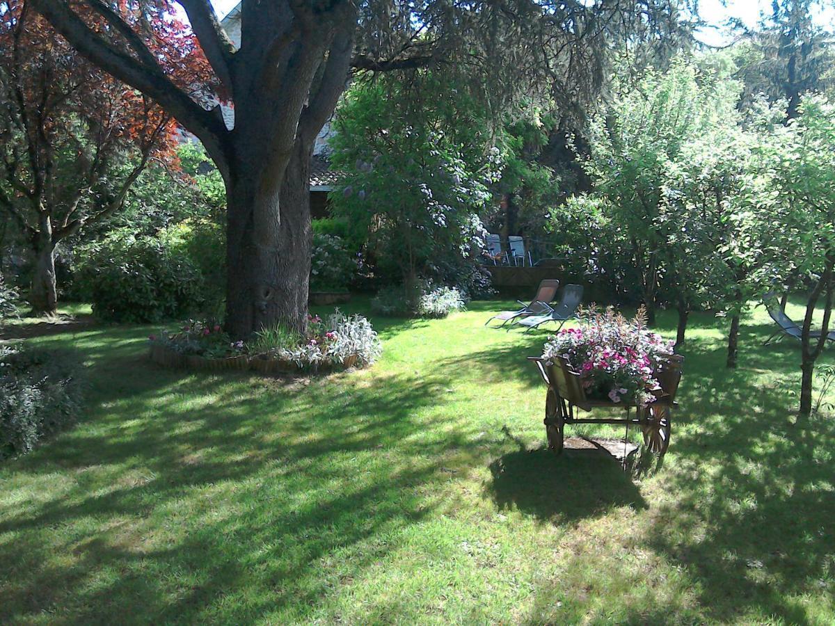 Bed and Breakfast Le Jardin Sarlat Zewnętrze zdjęcie