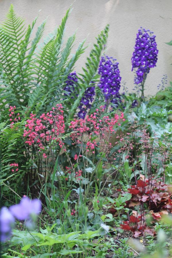 Bed and Breakfast Le Jardin Sarlat Zewnętrze zdjęcie